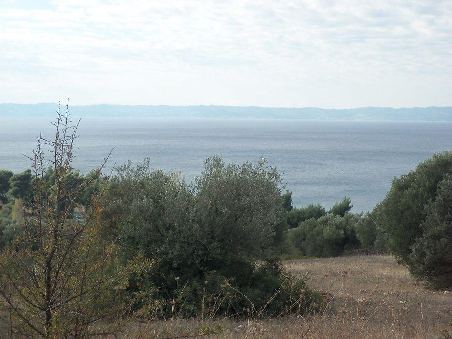 property-img